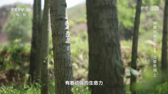 拾光TV电视版2024最新版截图3