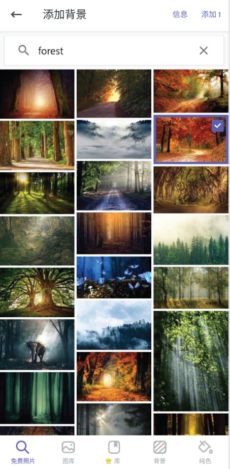 Adobe Express手机版2026最新版截图2