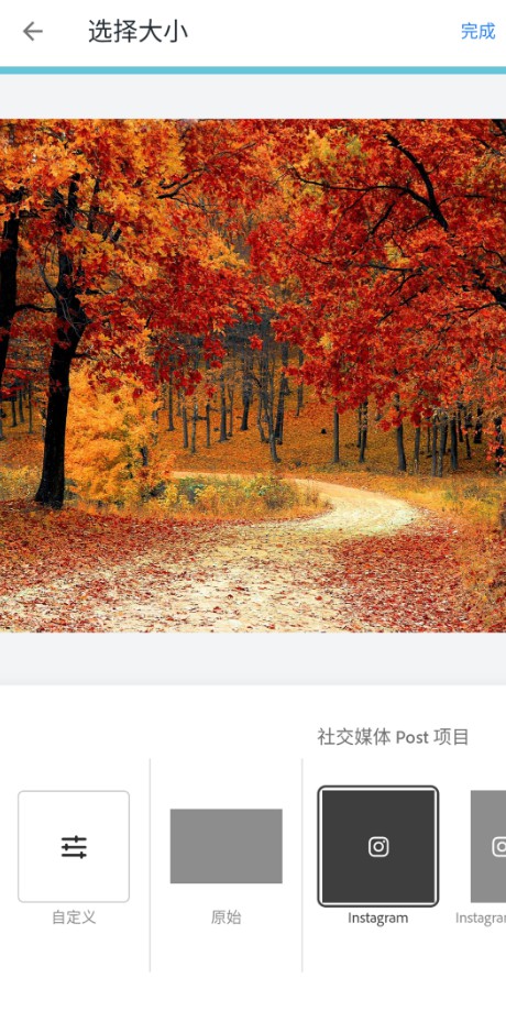 Adobe Express手机版2026最新版截图3