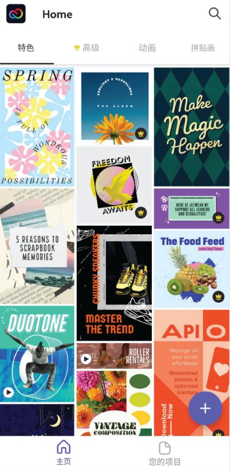 Adobe Express手机版2026最新版截图4