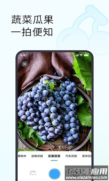 拍照识别植物手机版