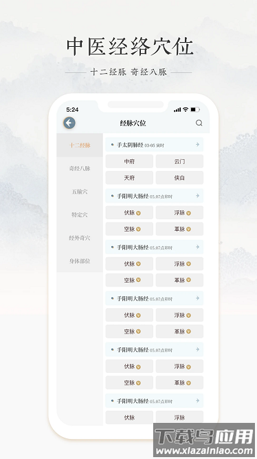 中医脉诊最新版