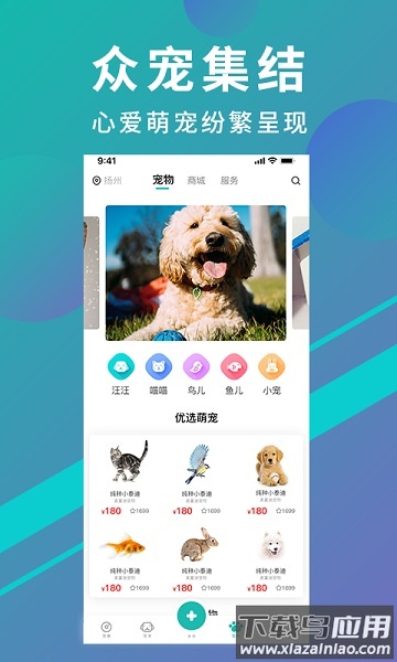 宠都手机版
