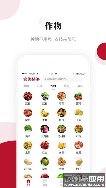 农资头条客户端