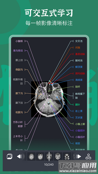 万康人体解剖免费版