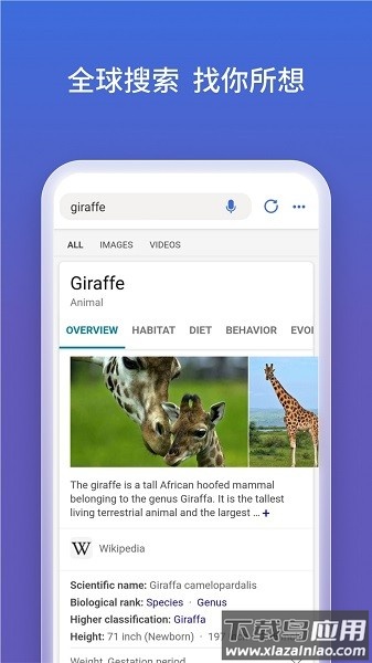 bing微软必应国际版手机版