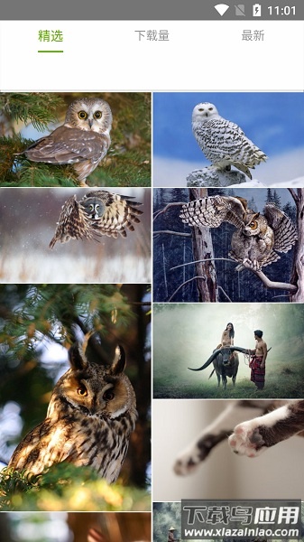 九龙图库官方正版