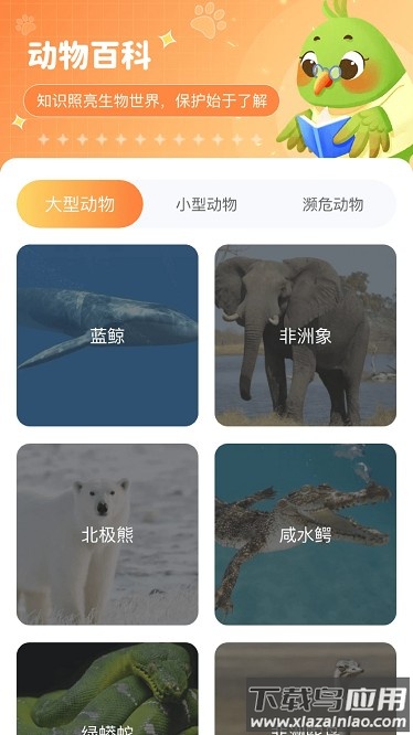 动物天地app截图4