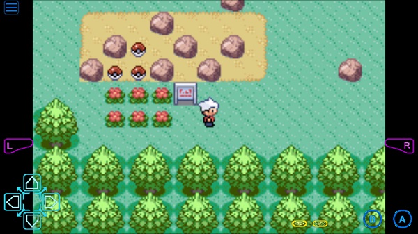 口袋妖怪蛇纹木中文版