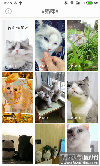 动态壁纸秀场手机版截图3