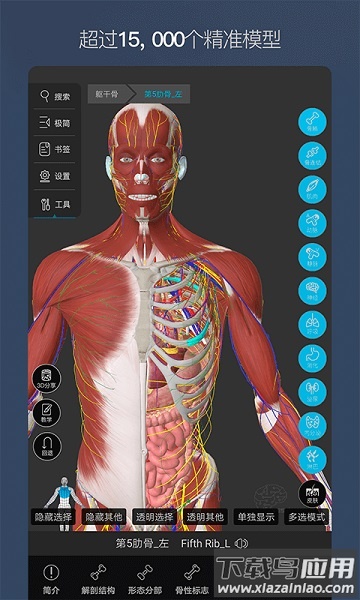 维萨里3d解剖免费版截图3
