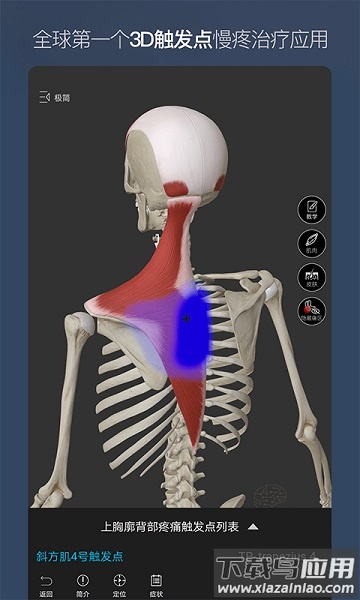 维萨里3d解剖免费版截图1
