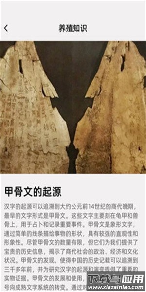 汉字全能王官方正版截图3