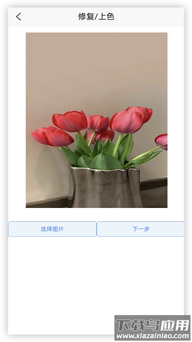 年龄相机手机版截图2