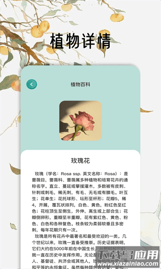花草妙识2025最新版最新版截图3