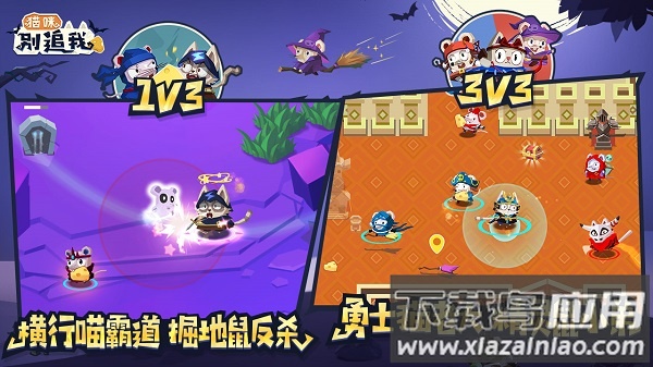 猫咪别追我官方正版最新版截图2