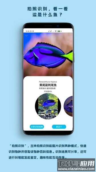 看鱼软件最新版截图2