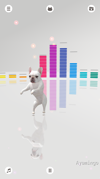 adanza跳舞的羊驼最新版截图3