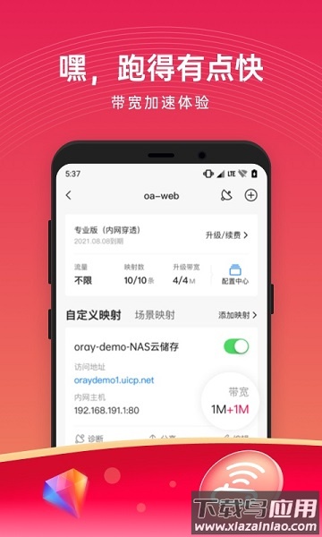 花生壳内网手机版(贝锐花生壳)截图1