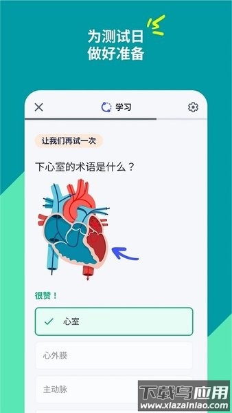 quizlet英语最新版2024截图3