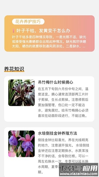 百花悦看软件截图1