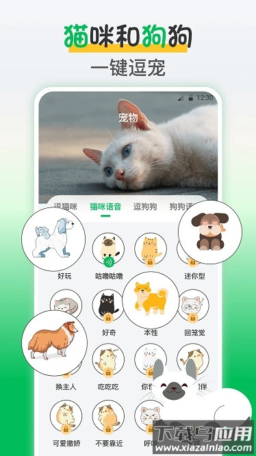 鸟语交流器app截图1