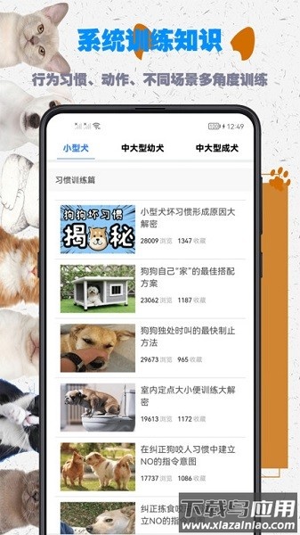 训狗教程软件截图2