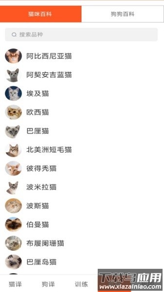 萌趣猫狗翻译器软件最新版截图3