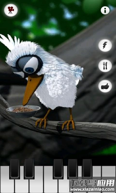 会说话的拉里鸟最新版本最新版截图4