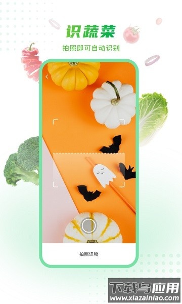有机蔬菜软件截图1