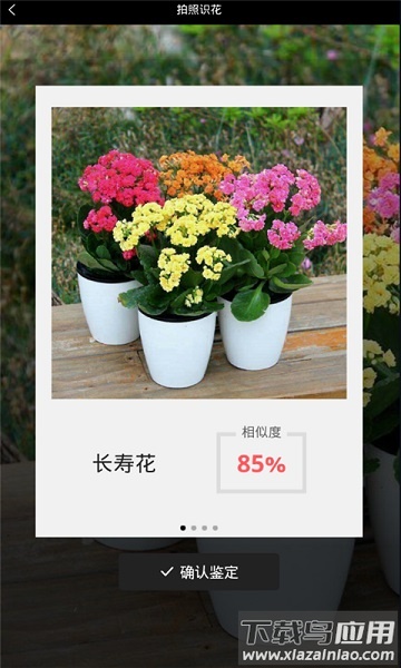 识花神器软件截图3