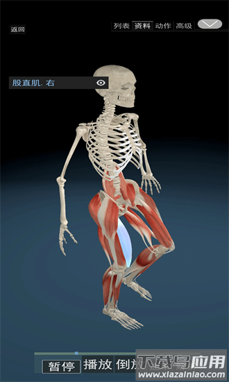 3d运动解剖最新版截图1