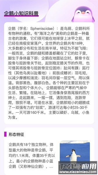 企鹅流量助手软件截图3