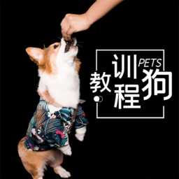 训狗教程软件