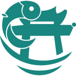 锦小鲤会计课堂软件