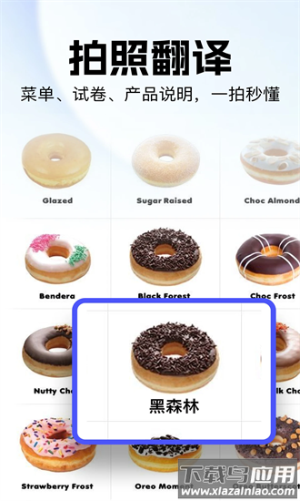 极速翻译官手机版截图2