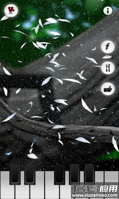 会说话的拉里鸟最新版本