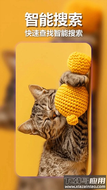 壁纸宝盒app截图2