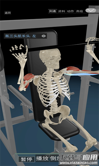 3d运动解剖最新版截图2