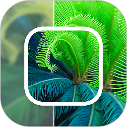 模糊照片修复软件免费版