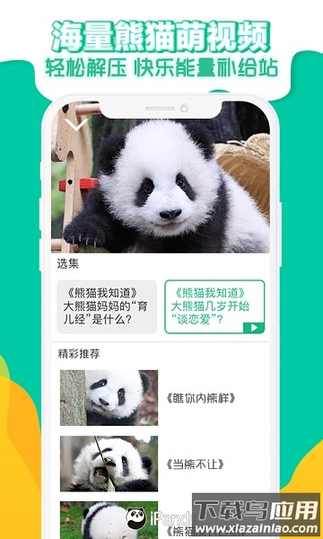 央视熊猫频道截图3