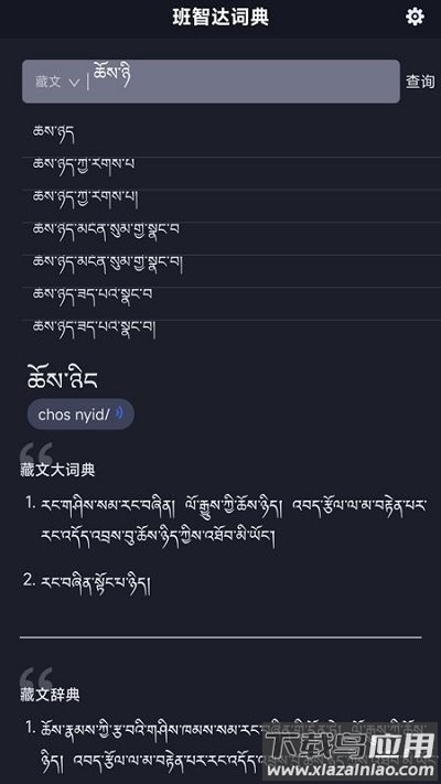 班智达词典官方版截图3