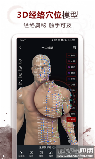 中医经络穴位app截图3