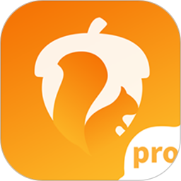 坚果隐藏pro版软件