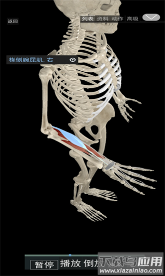 3d运动解剖最新版截图4