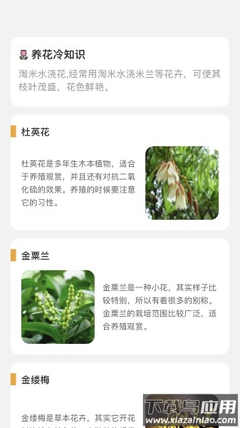 百花悦看软件截图2
