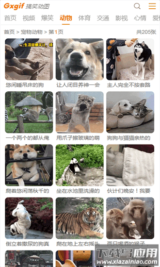 搞笑动图最新版最新版截图3