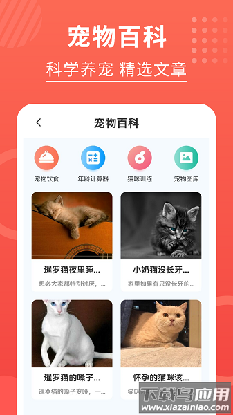猫猫翻译器免费版截图3
