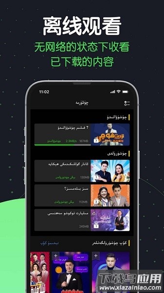 sinzarTV电视版2025截图3