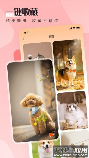 walp壁纸汉化版截图3